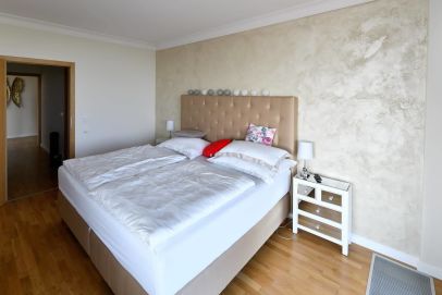 Dekorační malba Encanto Silver 